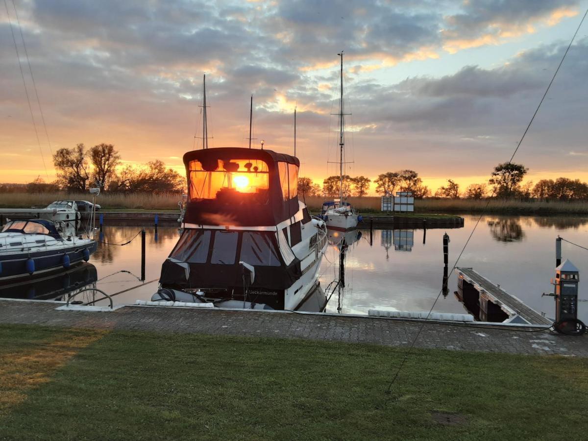 Fewo "Hafenblick" Ueckermünde Dış mekan fotoğraf