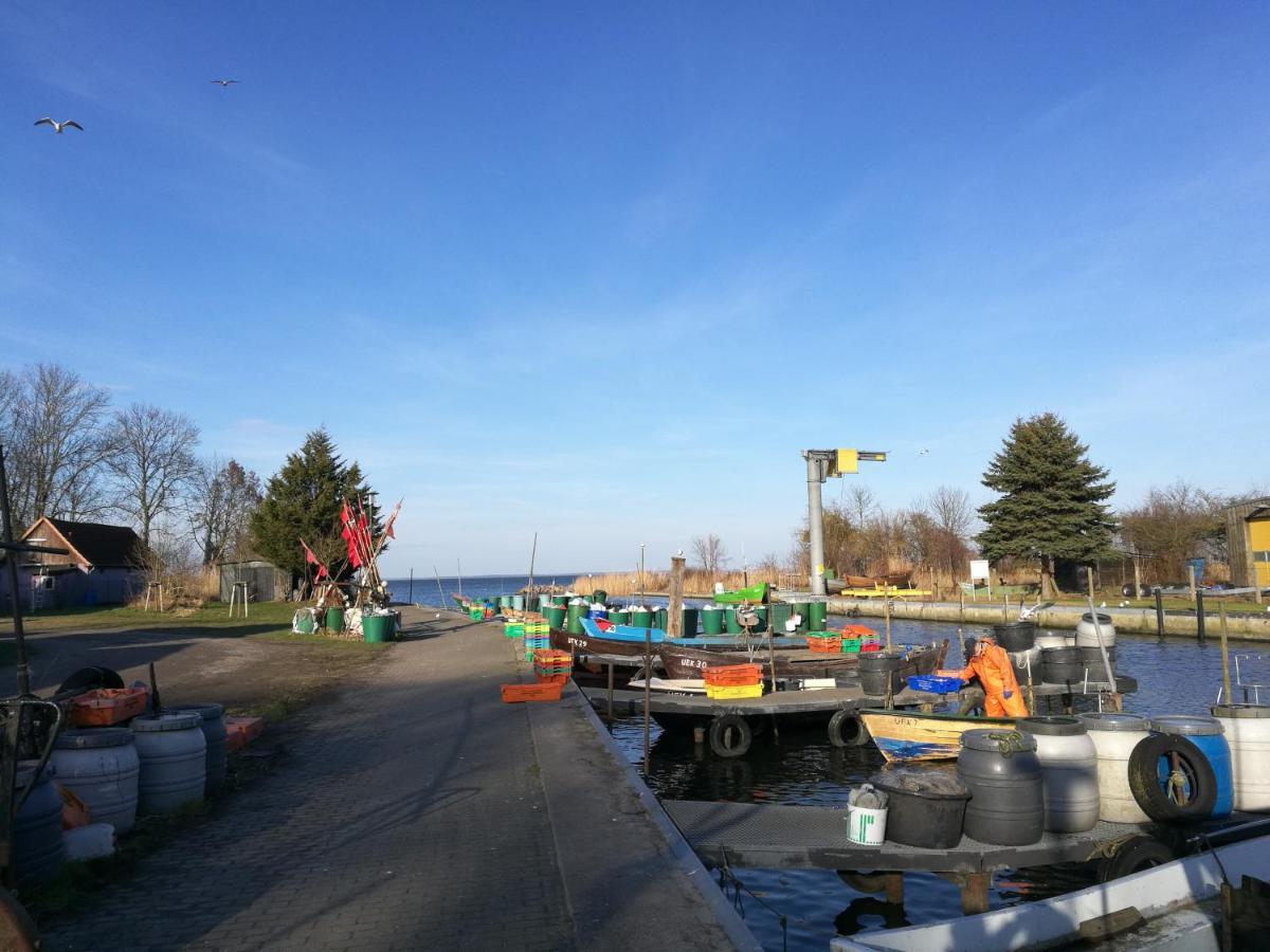 Fewo "Hafenblick" Ueckermünde Dış mekan fotoğraf