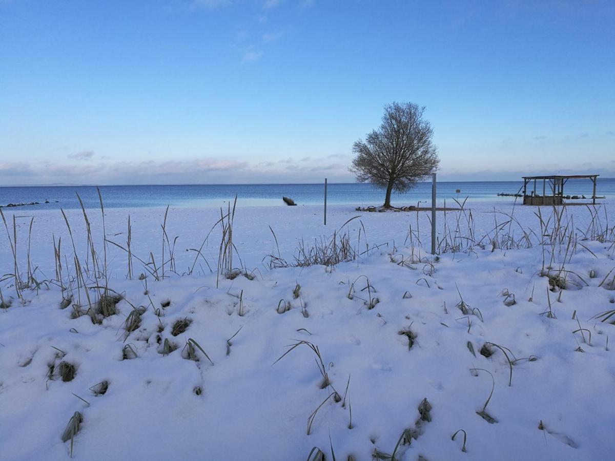 Fewo "Hafenblick" Ueckermünde Dış mekan fotoğraf