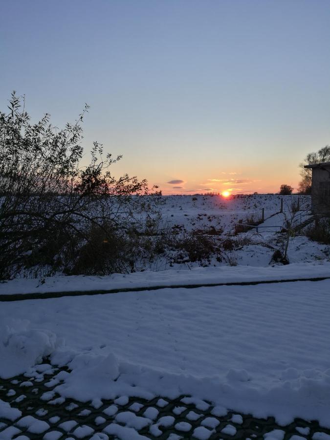 Fewo "Hafenblick" Ueckermünde Dış mekan fotoğraf