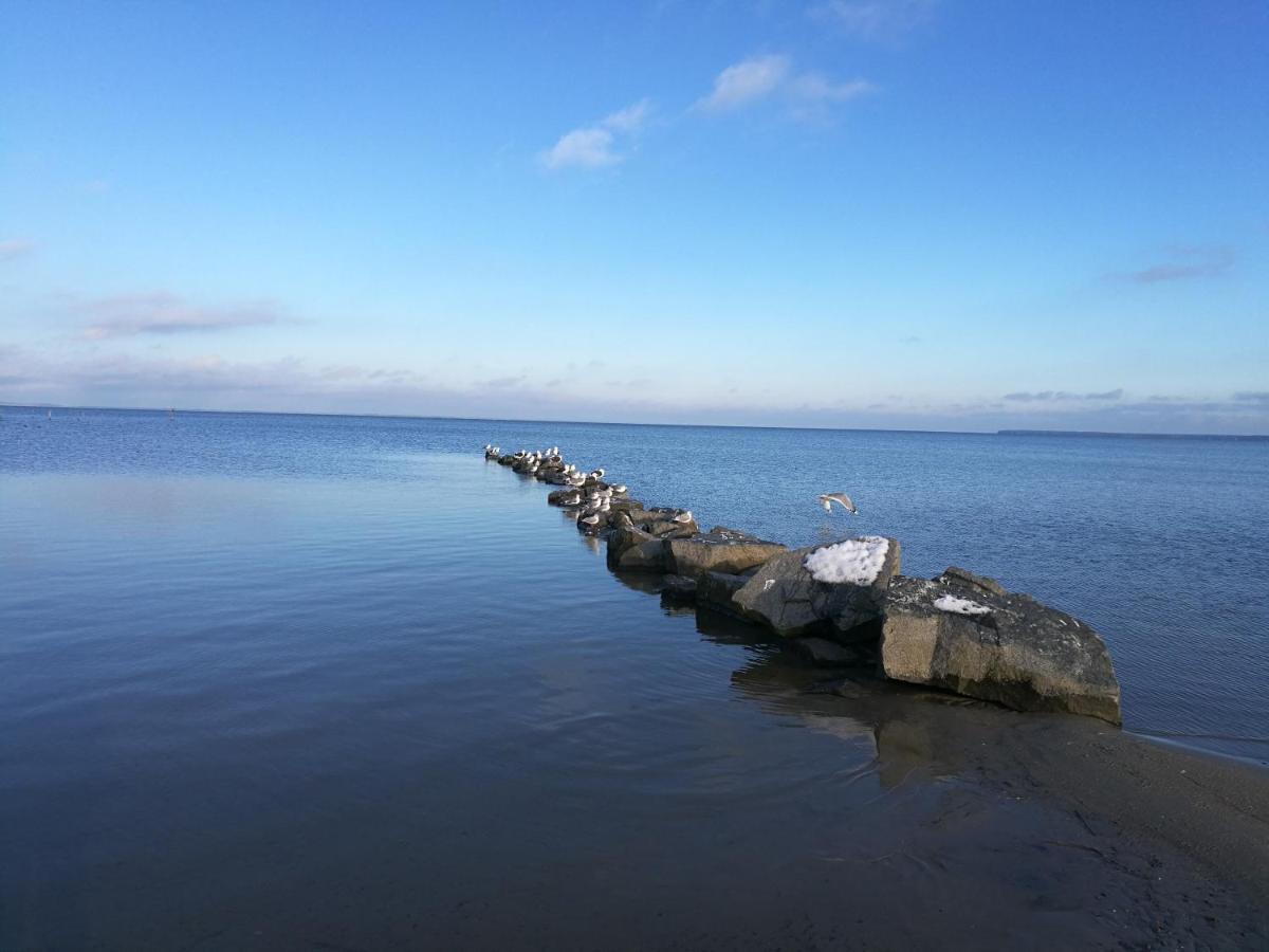 Fewo "Hafenblick" Ueckermünde Dış mekan fotoğraf