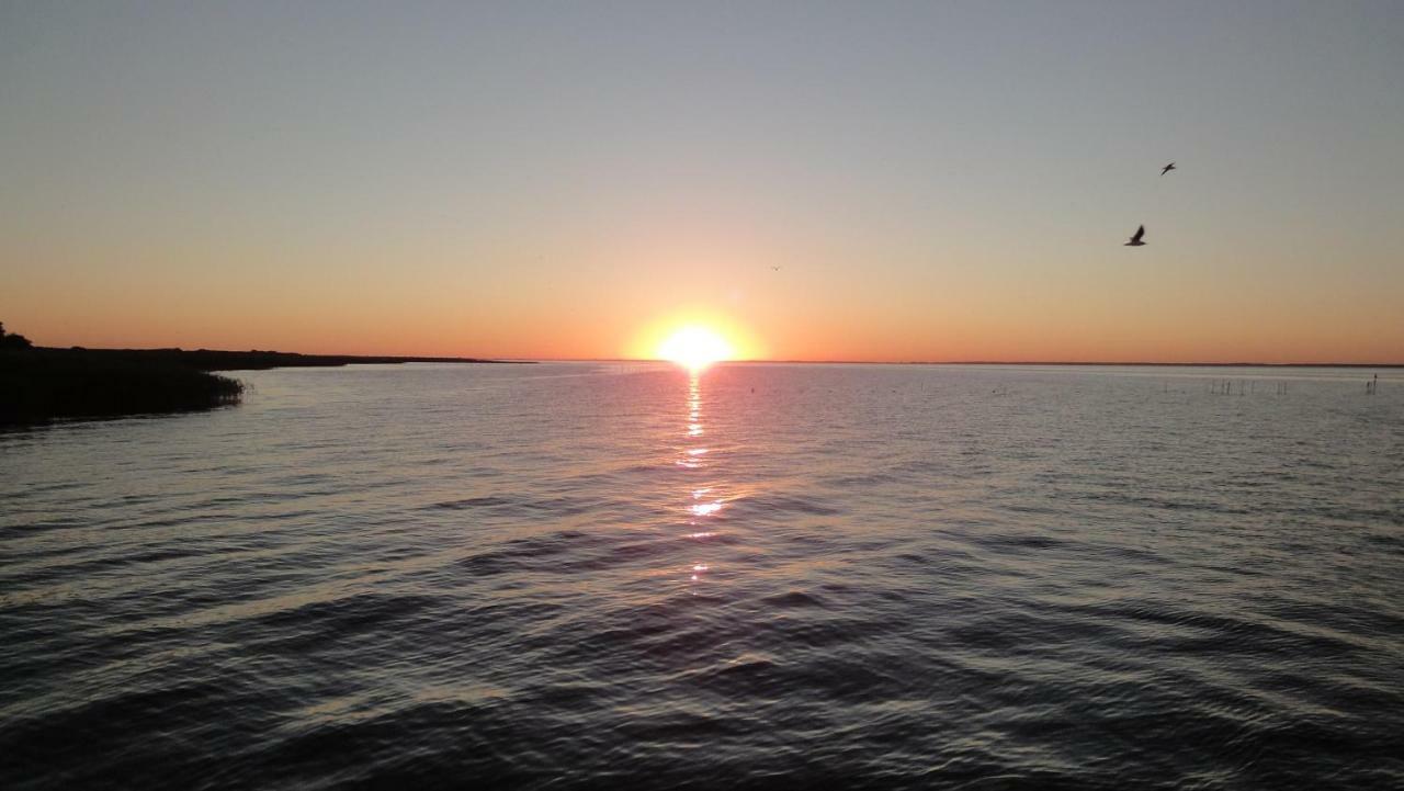 Fewo "Hafenblick" Ueckermünde Dış mekan fotoğraf
