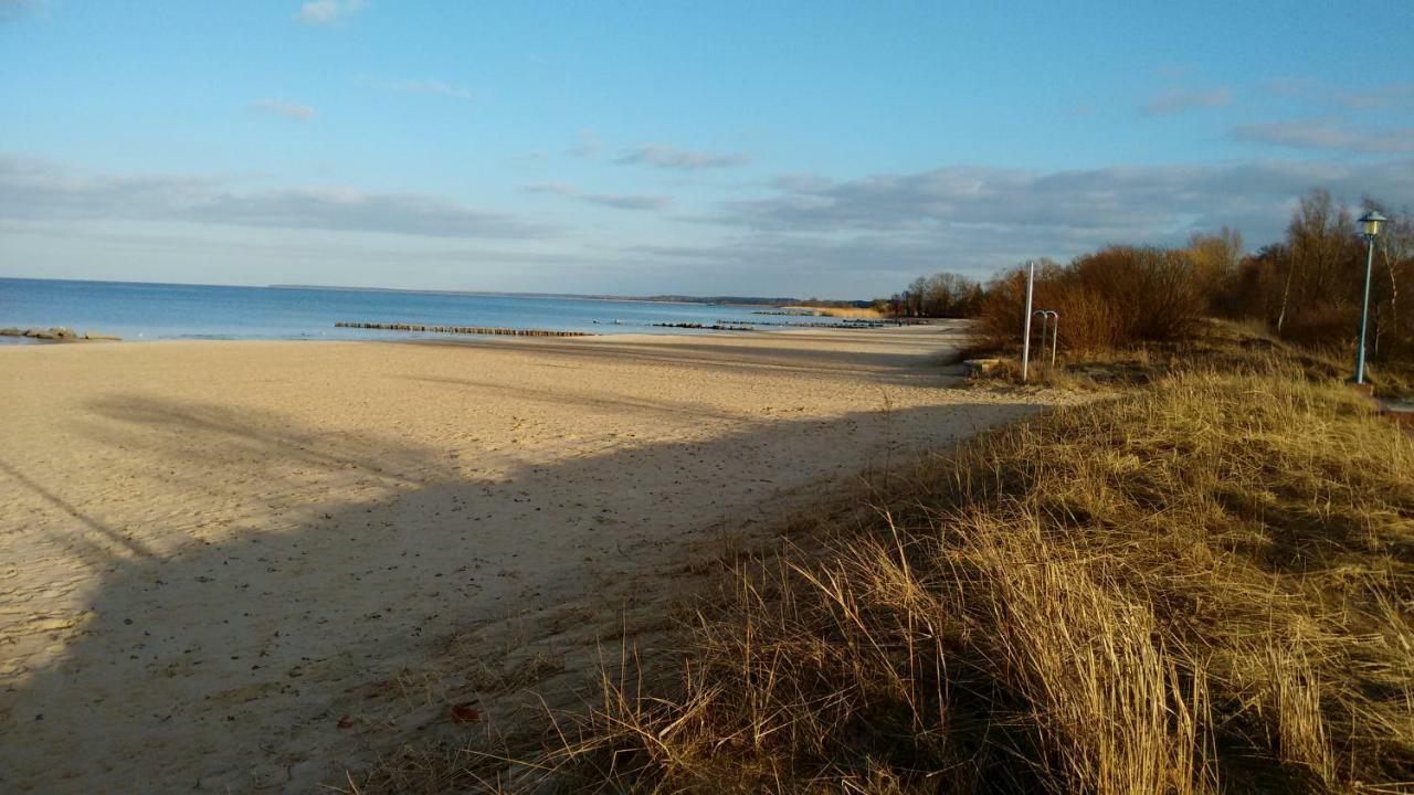 Fewo "Hafenblick" Ueckermünde Dış mekan fotoğraf